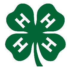 4H Logo